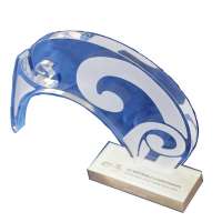 Cheap Clear Special Trophy Customized Shape,Transparent Acrylic Trophy And Award